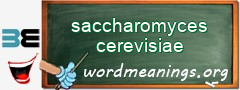 WordMeaning blackboard for saccharomyces cerevisiae